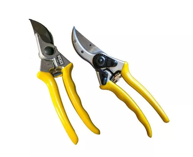 axe-crossbows-wicked-tough-hand-pruner Axe Crossbows Wicked Tough Hand Pruner