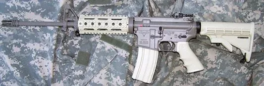 Doublestar Patrol .223 Remington Rifle