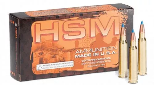 HSM .223 Remington Varmint