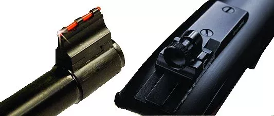 Williams Peep Sight for Ruger 10/22
